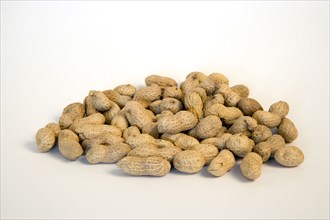 FOOD, Nuts, Groundnuts, Peanuts in kernels on a white background