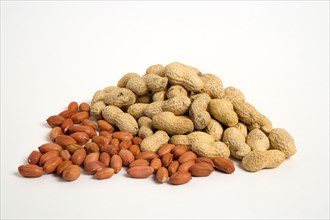 FOOD, Nuts, Groundnuts, Peanuts and kernels on a white background