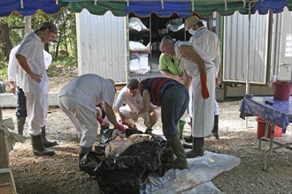THAILAND, Phuket, "Tsunami. Forensic workers from Germany with the group D.V.I, Disaster Victims