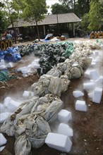 THAILAND, Phang Nga District, Takua PA, "Tsunami. Dry ice blocks lay around the bodies to try and