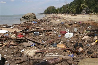 THAILAND, Phuket, "Tsunami. Bodies lay mixed with all the debris on the beach caused by the