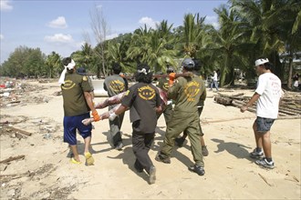 THAILAND, Phang Nga District, Khao Lak Beach, "Rescue workers collect Bodies that were out at sea