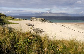 SCOTLAND, Argyll, Isle Of Iona, Grasses and sandy beach with views of Mull