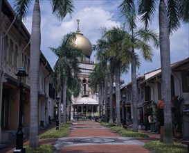 SINGAPORE, Kampong Glam , Sultan Mosque, Road lined with palm trees leading to the Sultan Mosque