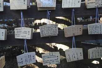 JAPAN, Honshu, Tokyo, "Jingumae - at Meijijingu shrine, ema wooden cards with New Years resolutions