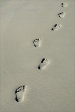 USA, Georgia, Tybee Island, Human footprints in the sand.