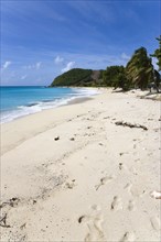 WEST INDIES, St Vincent & The Grenadines, Canouan, South Glossy Beach in Glossy bay with footprints