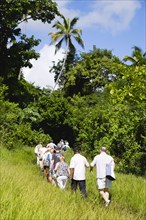 WEST INDIES, Grenada, St Andrew, Cruise ship tourists trekking through the jungle interior towards