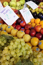 USA, California, Los Angeles, "Fruit stall, Farmers Market"