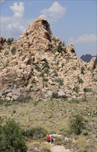 USA, California, Joshua Tree National Park, "Rocks & boulders at Hidden Valley, Joshua Tree