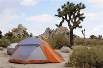 USA, California, Joshua Tree National Park, "Tent Camping at Hidden Valley campground, Joshua Tree