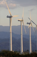 USA, California, Palm Springs, "Windmills, San Gorgonio Pass, Palm Springs. Wind turbine