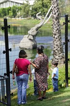 USA, California, Los Angeles, Family looking across La Brea Tar Pits