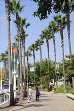 USA, California, Los Angeles, "Palm fringed harbour walk, Rainbow Harbour, Long Beach"
