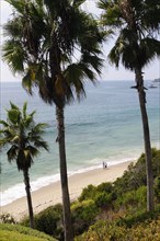 USA, California, Los Angeles, "Main Beach view, Laguna Beach"