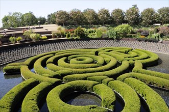 USA, California, Los Angeles, "Azalea maze, central garden, Getty Centre"