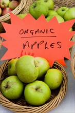 ENGLAND, West Sussex, Findon, Findon village Sheep Fair Baskets of organic apples.