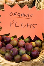 ENGLAND, West Sussex, Findon, Findon village Sheep Fair Basket of organic plums.
