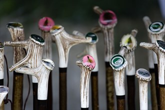 ENGLAND, West Sussex, Findon, Findon village Sheep Fair Display of bone handled walking sticks with