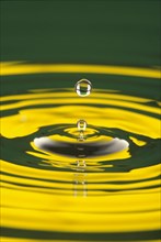 WATER, Drops, Pattern, Water droplet at moment of suspension above circular ripples with yellow