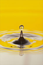 WATER, Drops, Pattern, Droplet of water meeting splash from surface with circular ripples and