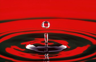 WATER, Droplet, Water drop at moment of suspension and circular ripple effect below.  Bright red