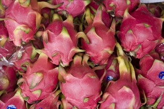 THAILAND, North, Chiang Mai, Close up of Dragon fruit on sale in market.