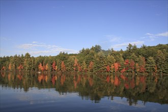 USA, New Hampshire, "Marlborough,", Autumn foliage on Meetinghouse Pond.