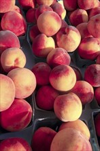 USA, New York State, Rochester, "Public Market, peaches in pint boxes."