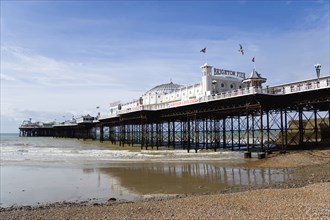 ENGLAND, East Sussex, Brighton, The Pier at low tide with shingle pebble beach in foreground.