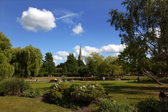 ENGLAND, Wiltshire, Salisbury, Cathedral spire seen across public park on Mill Road. Tallest church
