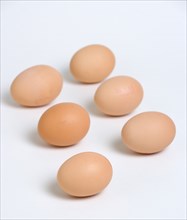 FOOD, Uncooked, Eggs, Six free range eggs on a white background.