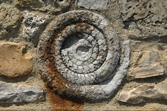 ENGLAND, Dorset, Lyme Regis, Ammonite in Wall