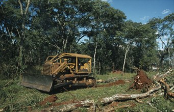 ZAMBIA  Environment Deforestation.  Clearing forest for wheat farming