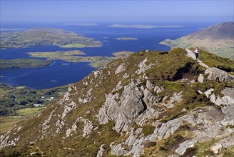 IRELAND, County Galway, Connemara, Diamond Hill, A hiker approaches the summit with Ballynakill