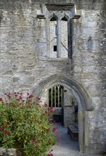 IRELAND, County Kerry, Killarney, Muckross Abbey  Founded in 1448 as a Franciscan Friary  Gothic