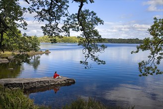 IRELAND, County Kerry, Killarney, Muckross Lake, a figure in red takes in the view.