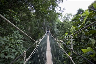 Malaysia, Central Pahang, Taman Negara, People wandering on the canopy walkways of the worlds