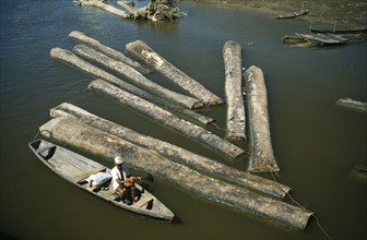Brazil, Amazonas, Amatura, Floating logs down river.