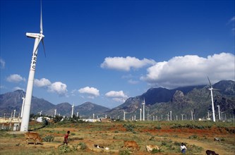 India, Tamil Nadu, Environment, Wind farm with multiple generators, Two men with cattle and goats