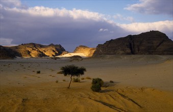 Egypt, Sinai Desert, St Catherineís Monastery, View over desert landscape from the Nuweiba Road