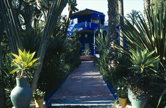 MOROCCO, Marrakesh, Jardin Marjorelle known as the residence of Yves Saint-Laurent, view along