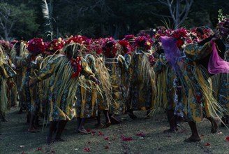 Pacific Islands, Melanesia, Vanuatu, Women dancers in costume at ceremony.
