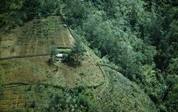 Ppaua New Guinea, Environment, Deforestation of hillside for agricultural use.  Aerial view over