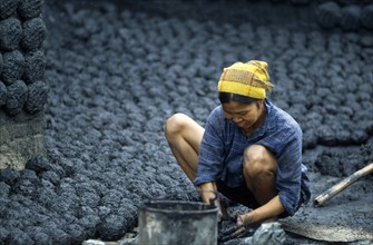 Vietnam, North, Environment, Woman making cakes of dried coal dust to fuel kiln.