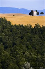 ITALY, Tuscany, Val D'Orcia, Deserted church on hilltop set in field of ripe wheat in valley near