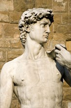 ITALY, Tuscany, Florence, Replica of Rennaisance statue of David by Michelangelo in the Piazza