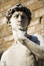 ITALY, Tuscany, Florence, Replica of Rennaisance statue of David by Michelangelo in the Piazza
