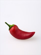 Food, Vegetables, Chillies, One hot red chilli pepper on a white background.