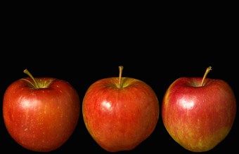 Food, Fruit, Apples, Three ripe red apples in a line against a black background.